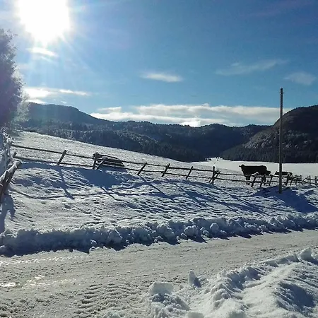 Casa Alpago Homestay Spert
