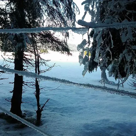 ホームステイ Casa Alpago, *