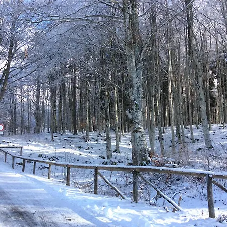 홈스테이 Casa Alpago Spert