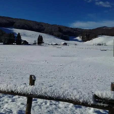 홈스테이 Casa Alpago *